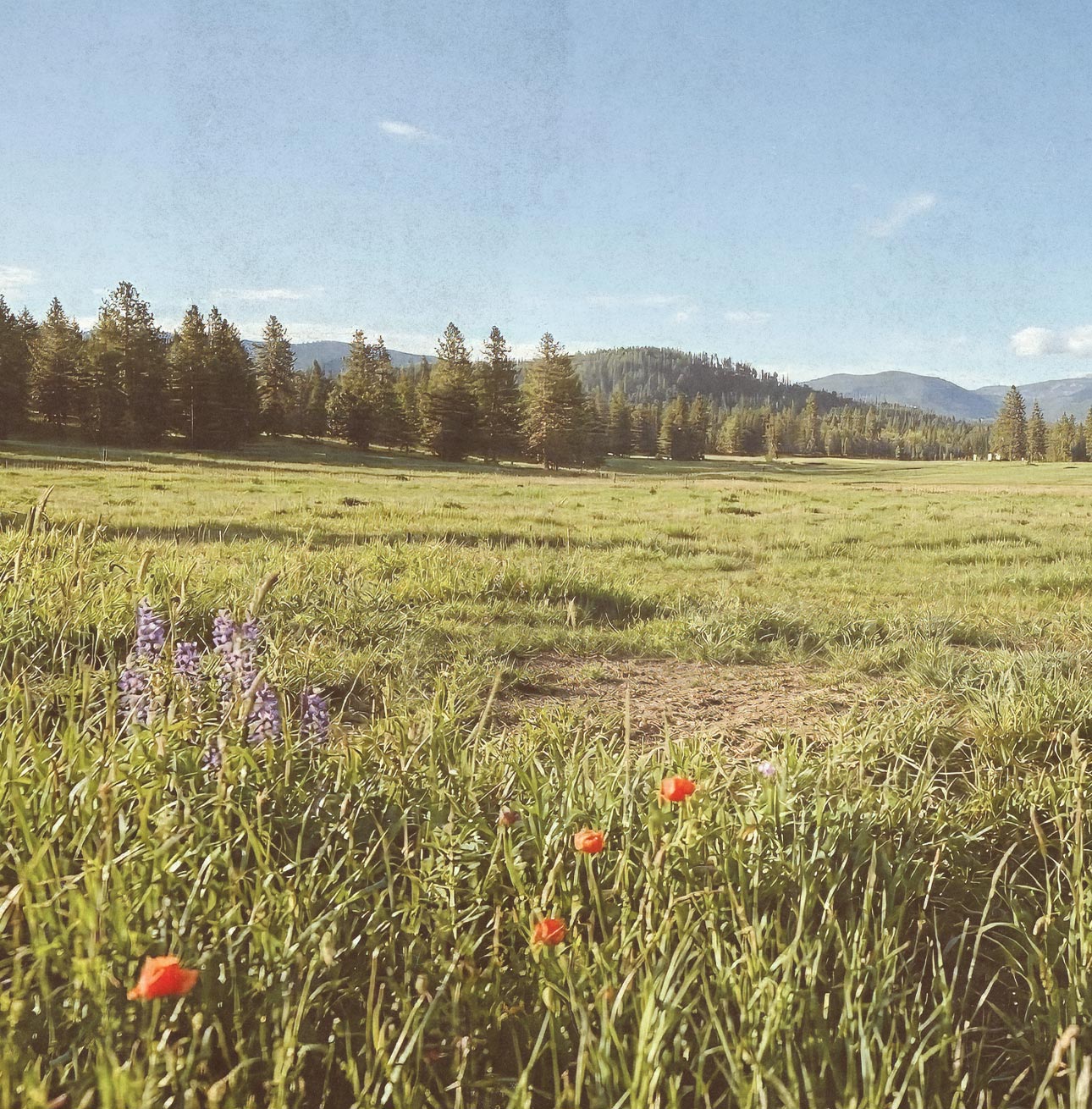 Samples of color swatch books on a desk.